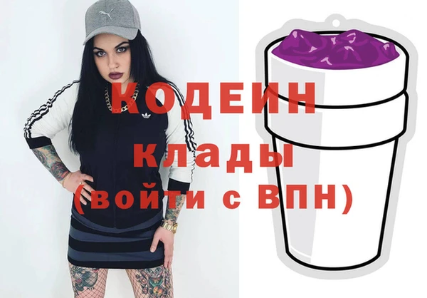 PSILOCYBIN Алзамай