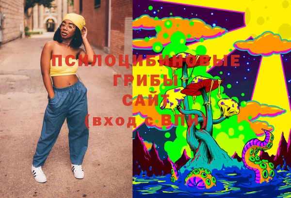 PSILOCYBIN Алзамай