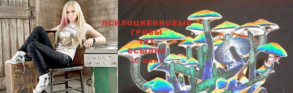 PSILOCYBIN Алзамай