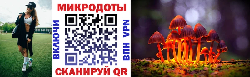 купить  цена  это официальный сайт  Галлюциногенные грибы Psilocybe  Таруса 